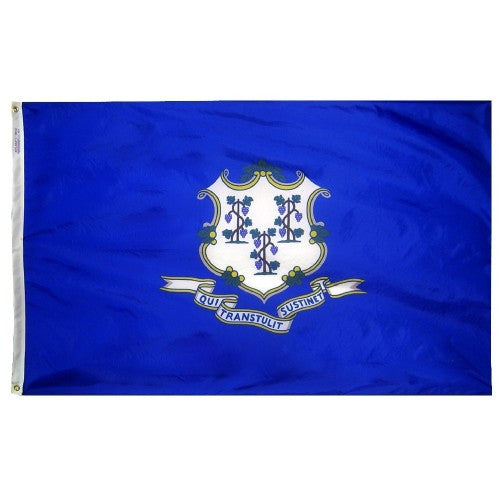 Connecticut Flag-Assorted Sizes