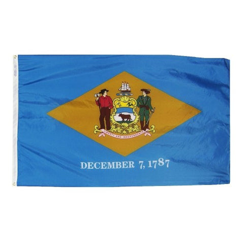 Delaware Flag-Assorted Sizes