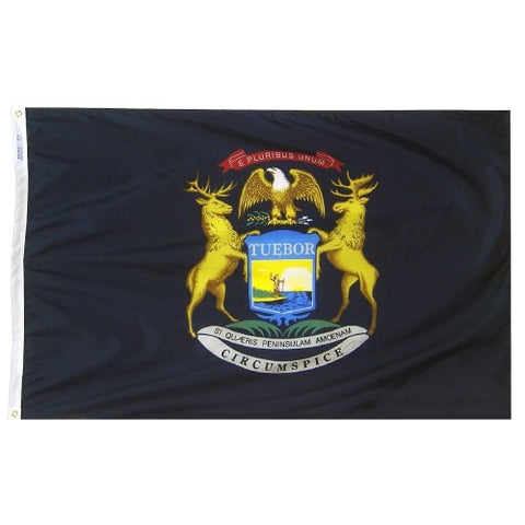 Michigan Flag-Assorted Sizes